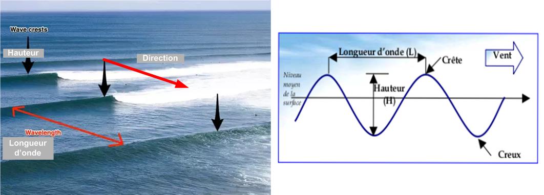 comment-pr-voir-les-vagues-par-m-t-o-france-polyn-sie-fran-aise